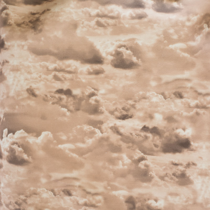 Коллекция Принт на велюре (Париж), цвет Париж облака темно-бежеый