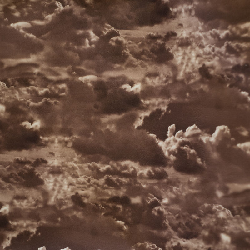 Коллекция Принт на велюре (Париж), цвет Париж облака шоколад