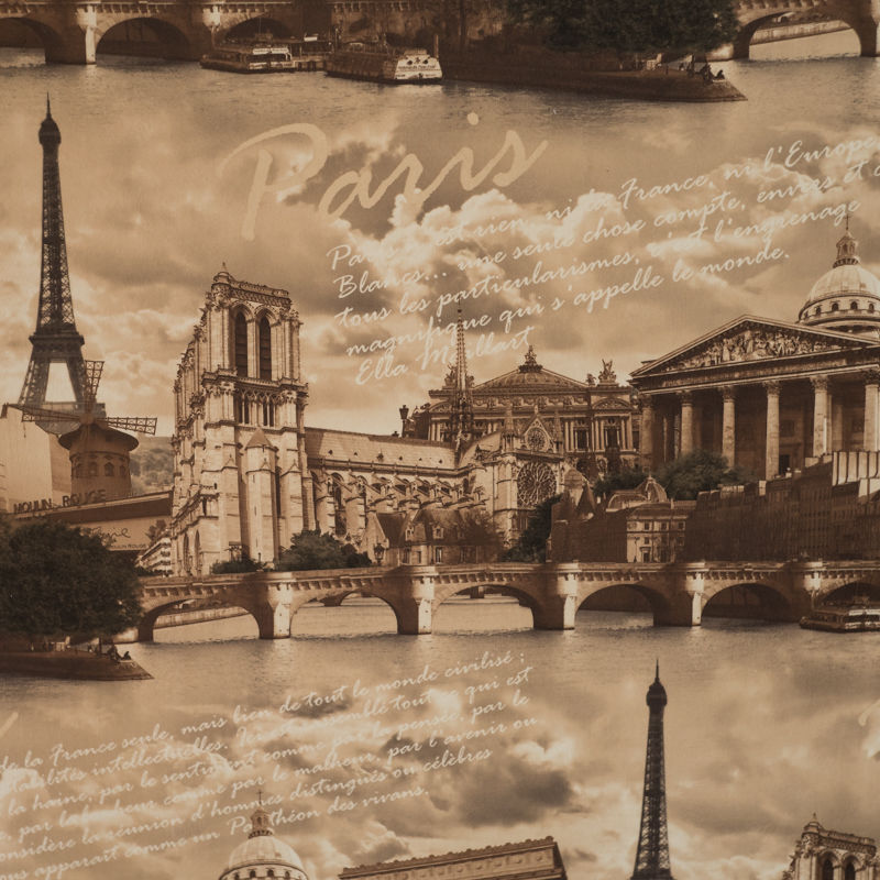 Коллекция Принт на велюре (Париж) крупный план 
